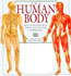 Teaching about the Human Body within subject of english, One Community